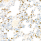 //jprorwxhrkinlq5q-static.micyjz.com/cloud/llBpjKnjlkSRqippkjlniq/02711d55a73961fcf79f2f01555f73ab-60-60.jpg